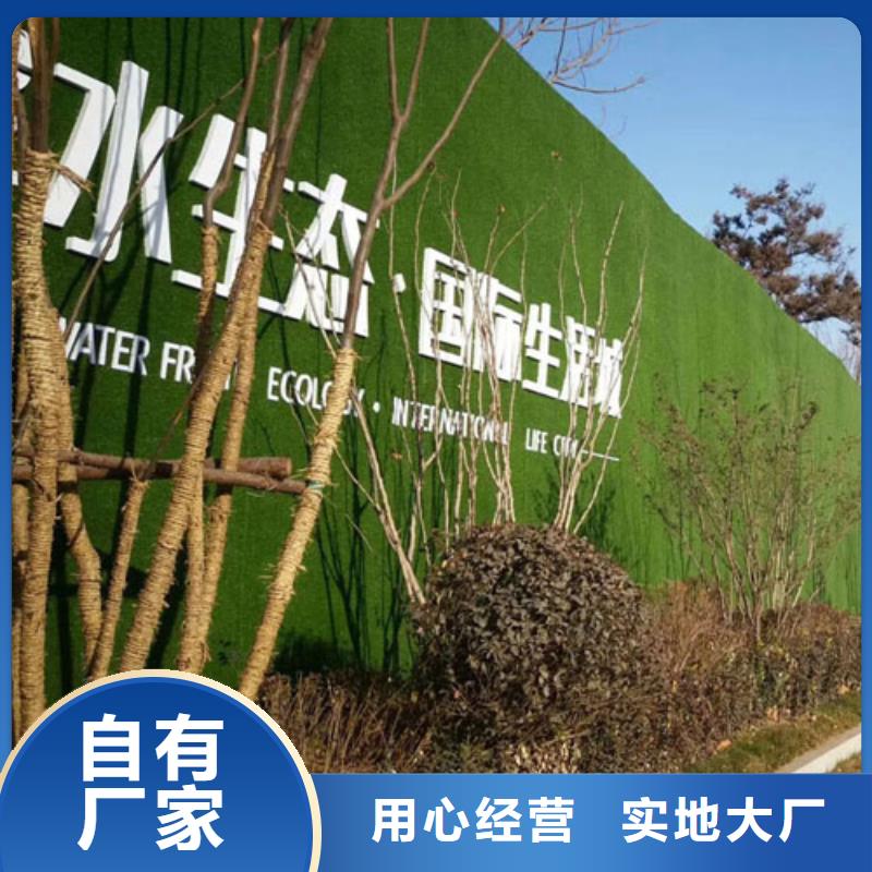 围挡草坪-围挡草坪网品质优选