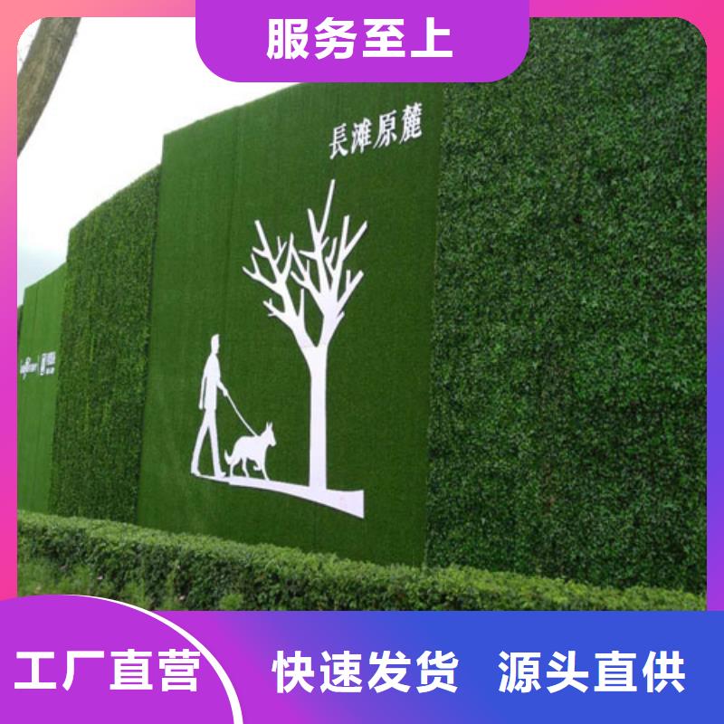 草坪围挡人造草坪围挡诚信可靠