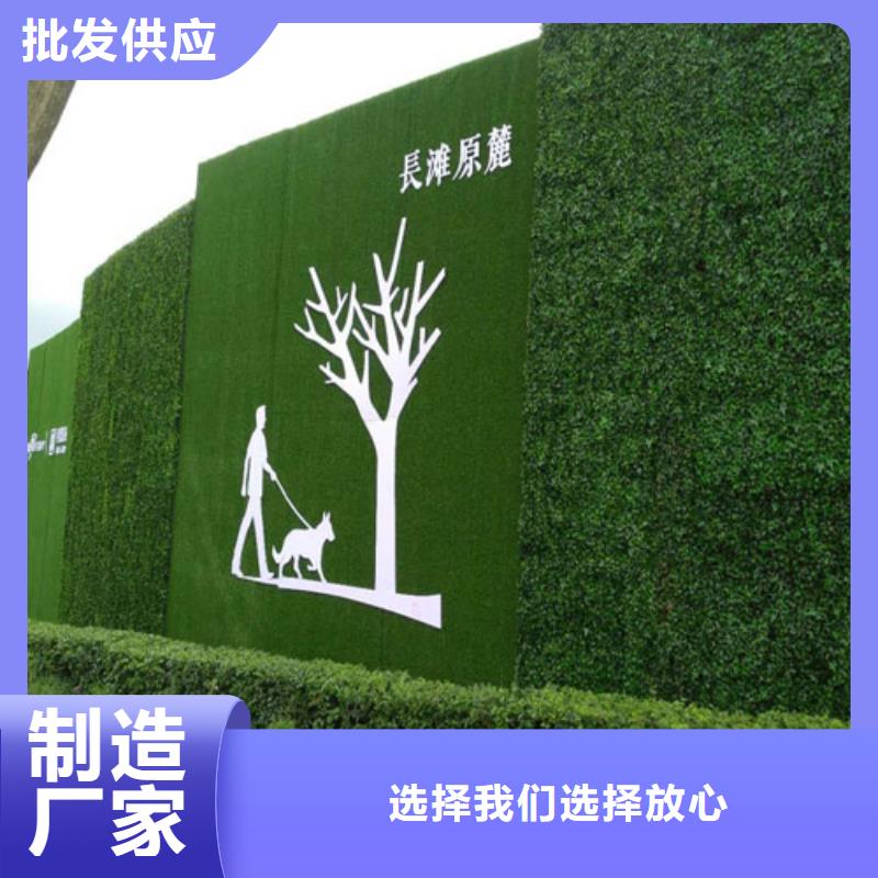 草坪围挡人工草坪围挡好货直销