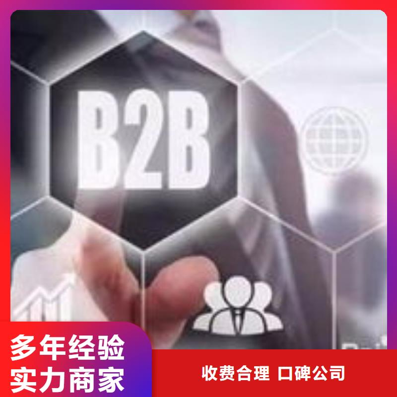 马云网络网络推广2024专业的团队