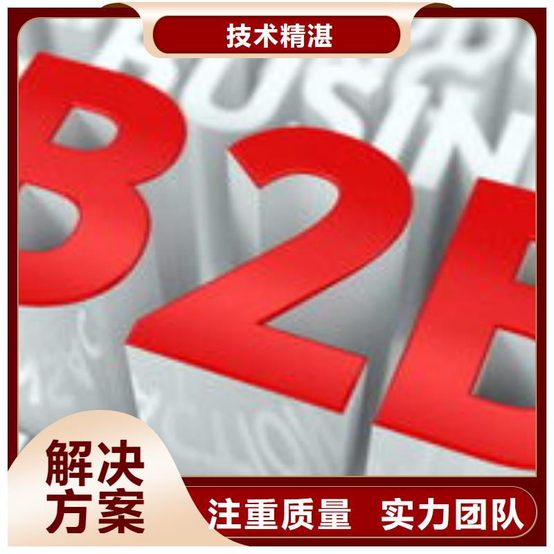 马云网络,网络公司2024专业的团队