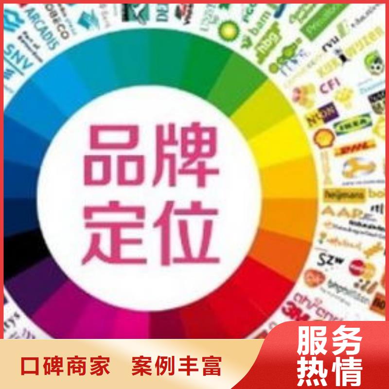 马云网络,网络公司2024专业的团队