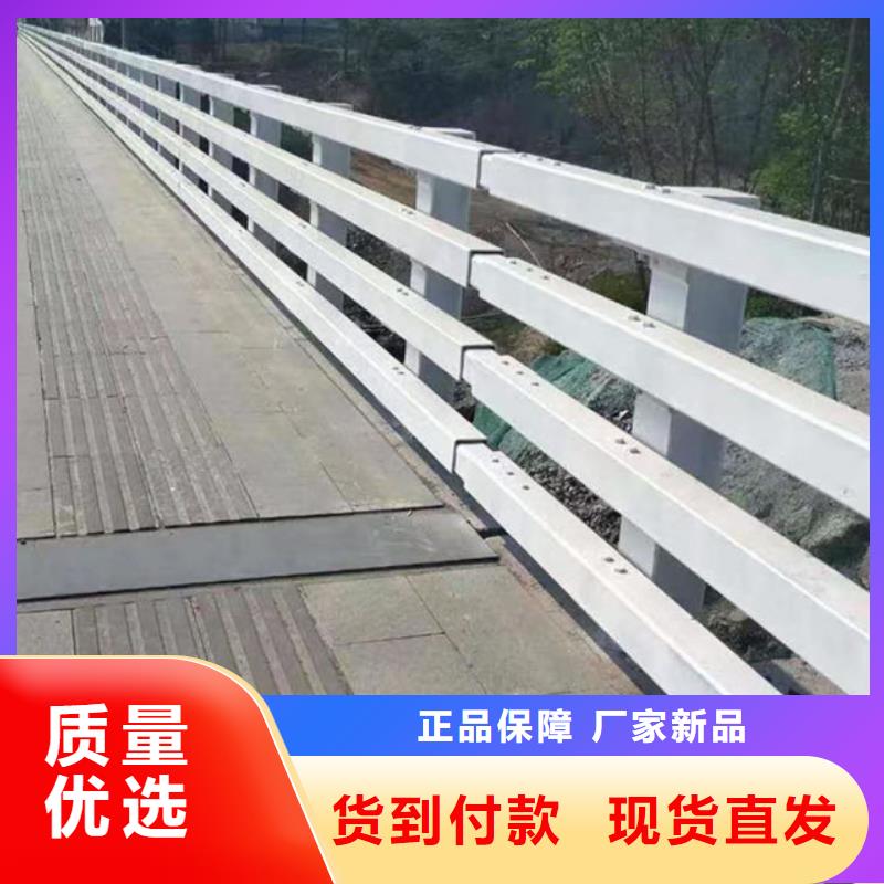 护栏实体厂家大量现货
