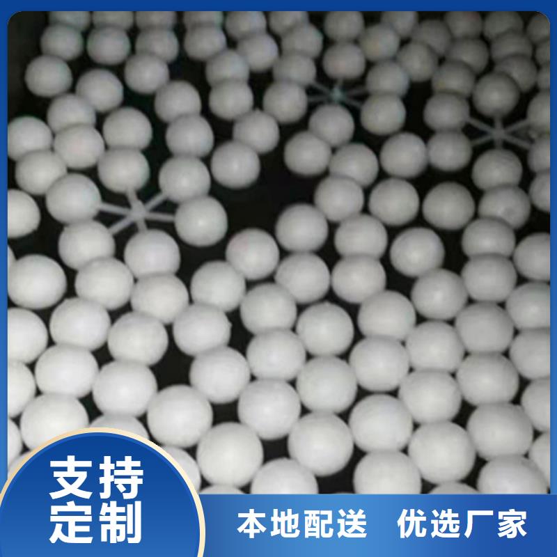 水处理填料柱状活性炭诚信经营质量保证