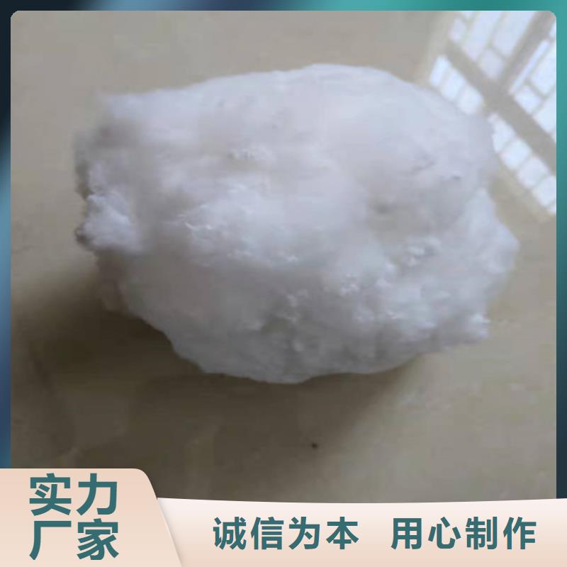 水处理填料柱状活性炭诚信经营质量保证