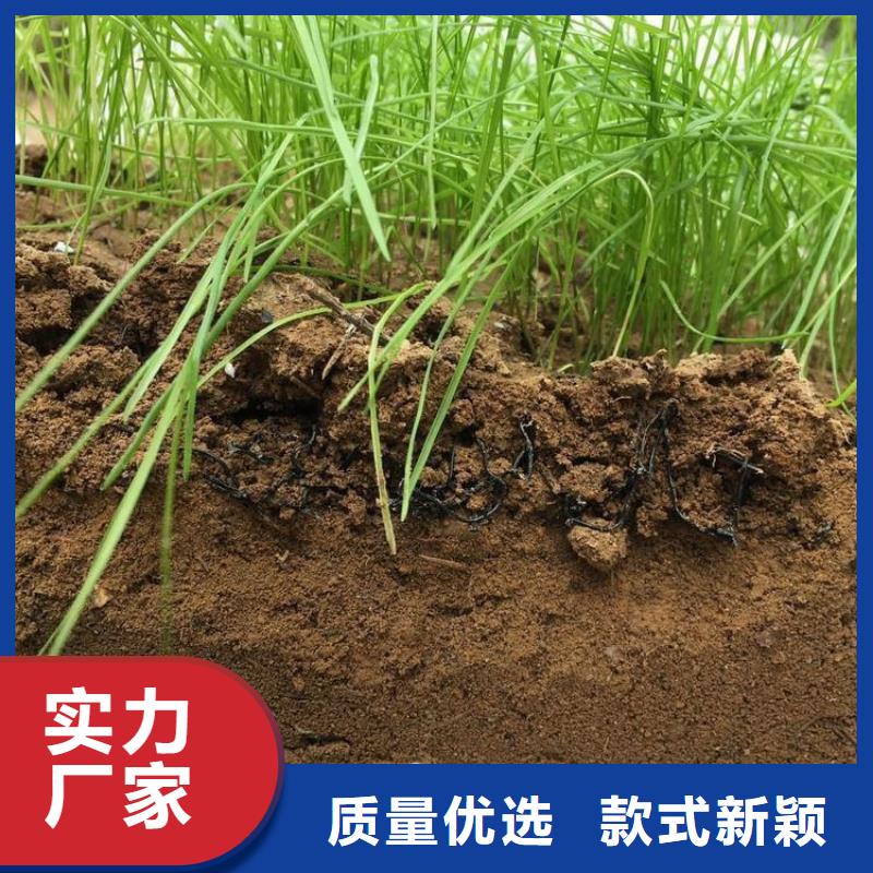 【水土保护毯双向塑料土工格栅产地直销】