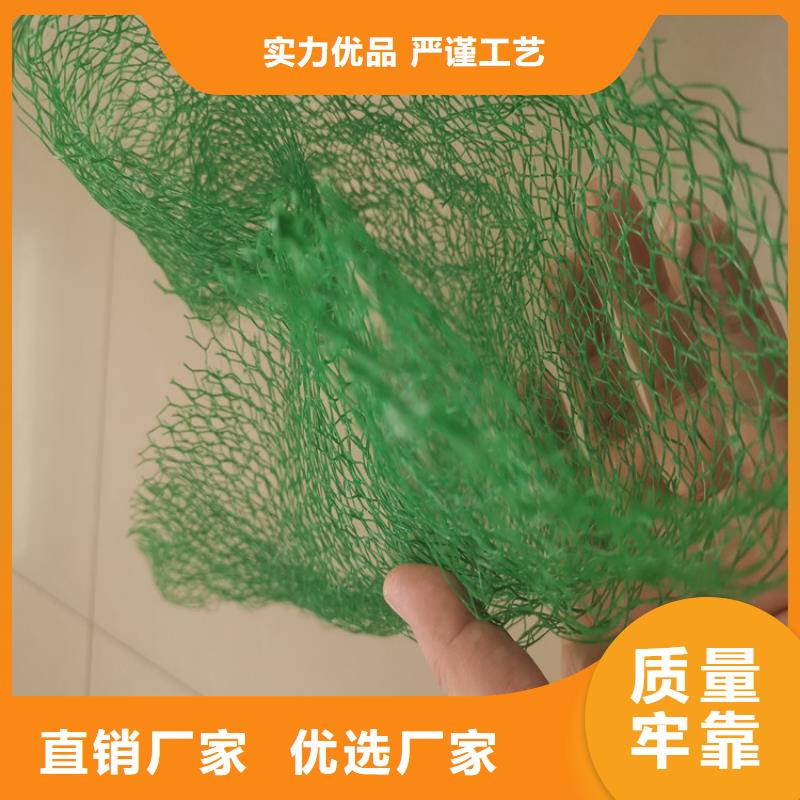 三维植被网-透水管好品质选我们