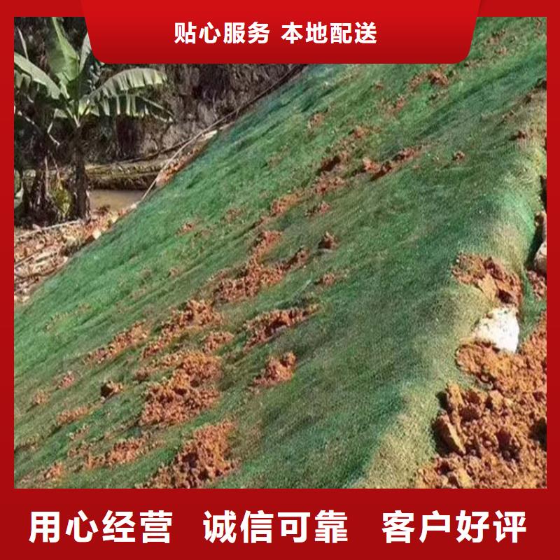 三维植被网_聚丙烯腈纤维敢与同行比质量