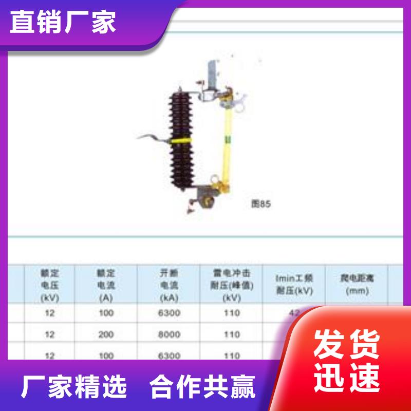 熔断器跌落式熔断器好品质售后无忧