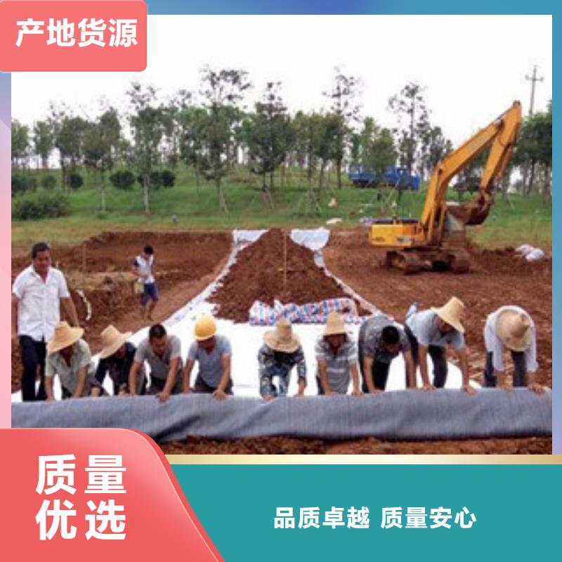 【膨润土防水毯_钢塑土工格栅工厂价格】